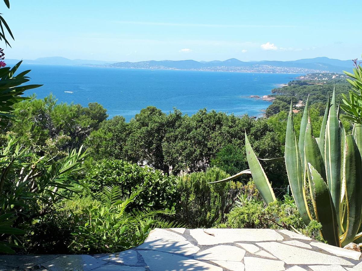 Duplex, Vue Panoramique Sur La Mediterranee, Piscine, Garage *