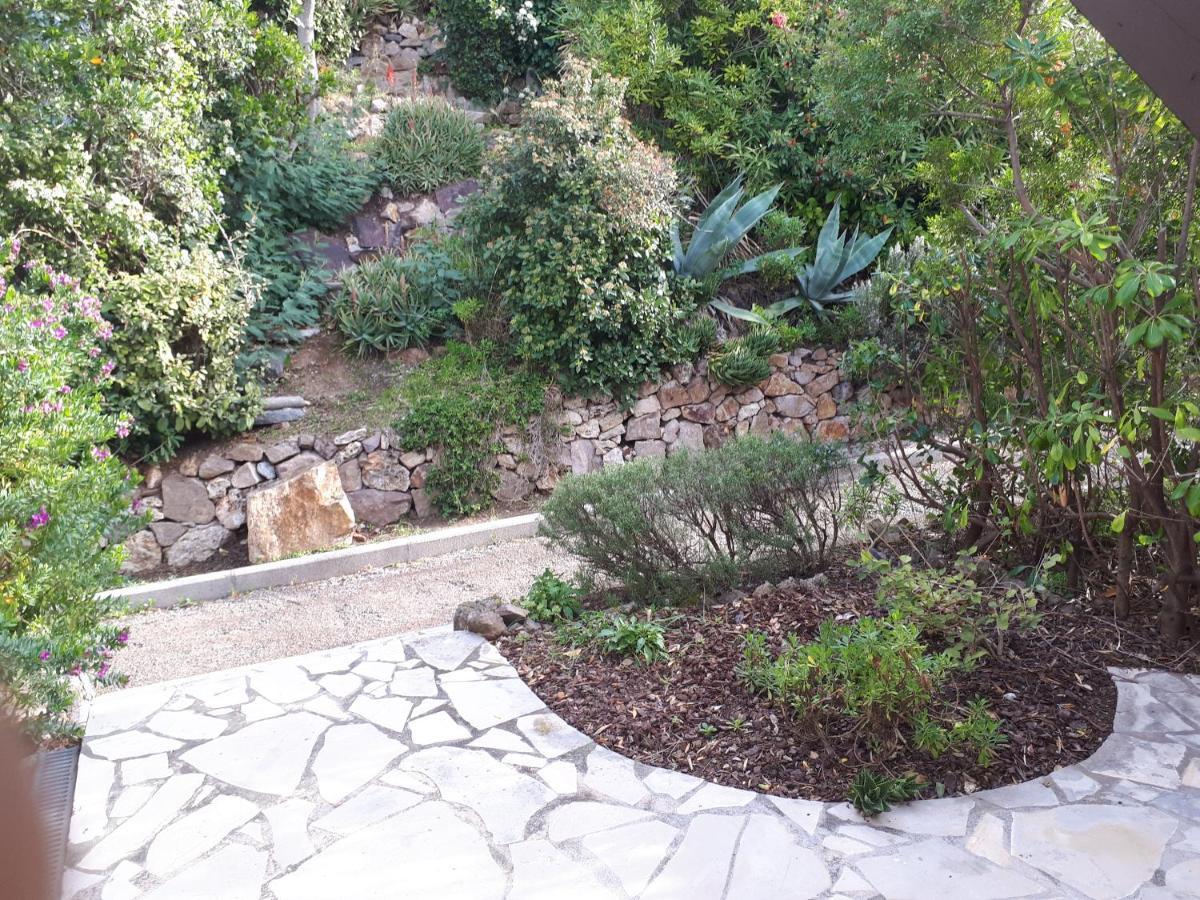 Duplex, Vue Panoramique Sur La Mediterranee, Piscine, Garage Apartment *