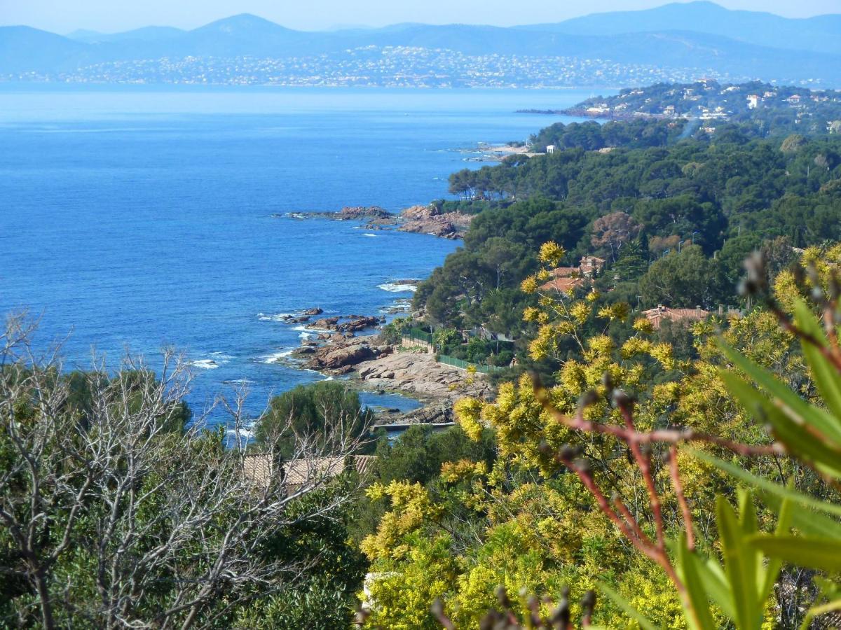Duplex, Vue Panoramique Sur La Mediterranee, Piscine, Garage * Saint-Raphael (Var)