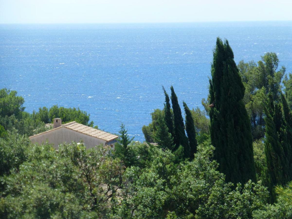 Duplex, Vue Panoramique Sur La Mediterranee, Piscine, Garage Apartamento