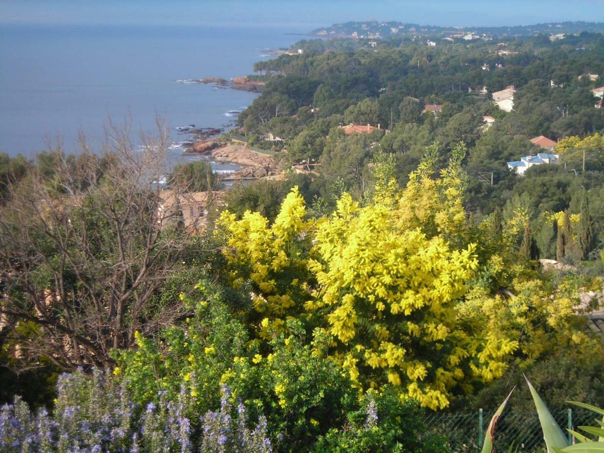 Duplex, Vue Panoramique Sur La Mediterranee, Piscine, Garage * Saint-Raphaël